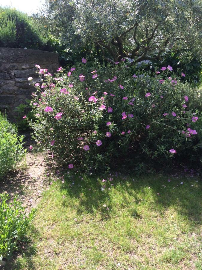 Le Mazet Des Joncs en Provence Villa Saint-Pierre-de-Vassols Buitenkant foto