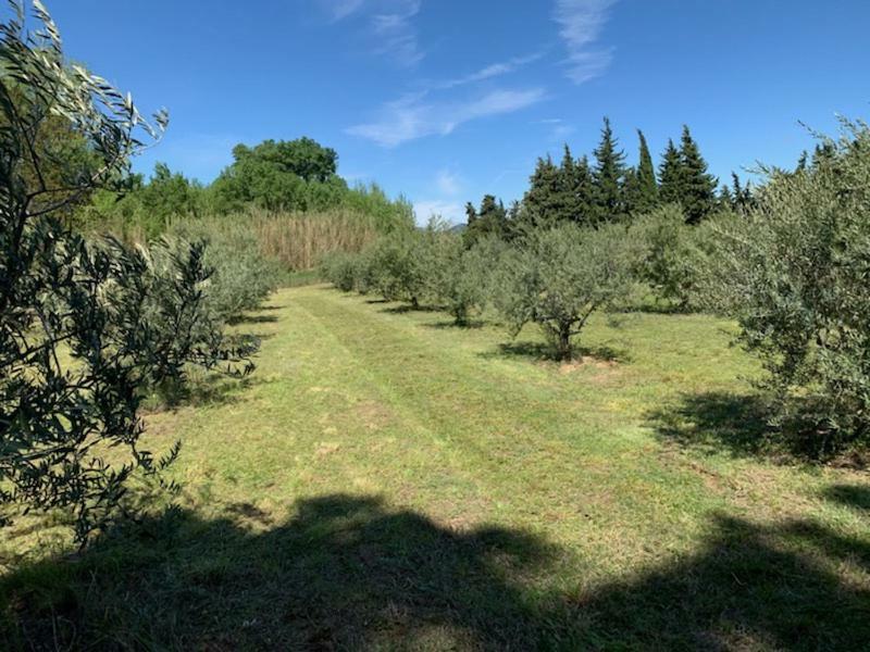 Le Mazet Des Joncs en Provence Villa Saint-Pierre-de-Vassols Buitenkant foto
